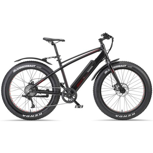 E-Bike TELEFUNKEN 