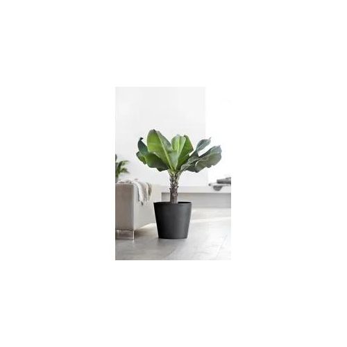 Blumentopf ECOPOTS 