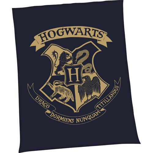 Harry Potter Wohndecke »Harry Potter«, mit tollem Harry Potter Motiv, Kuscheldecke