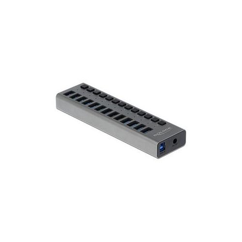 DeLOCK USB-Hub SuperSpeed 13-fach grau