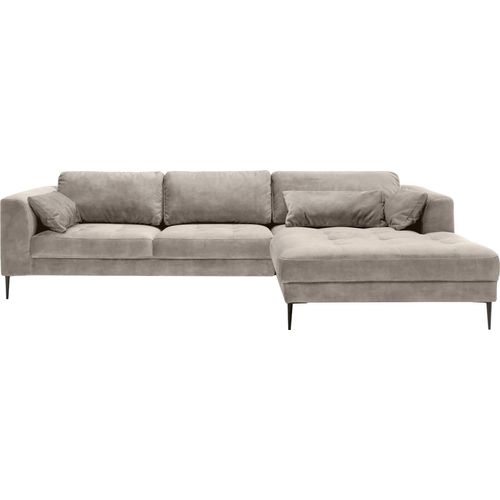 Ecksofa TRENDMANUFAKTUR 