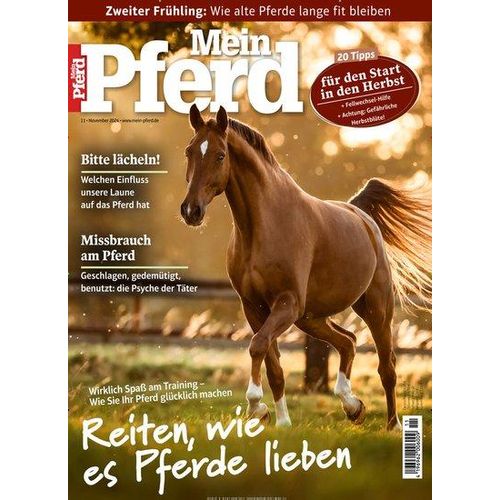 Mein Pferd