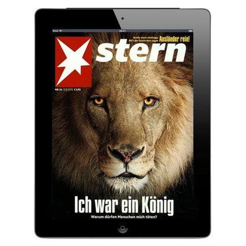 stern Digital