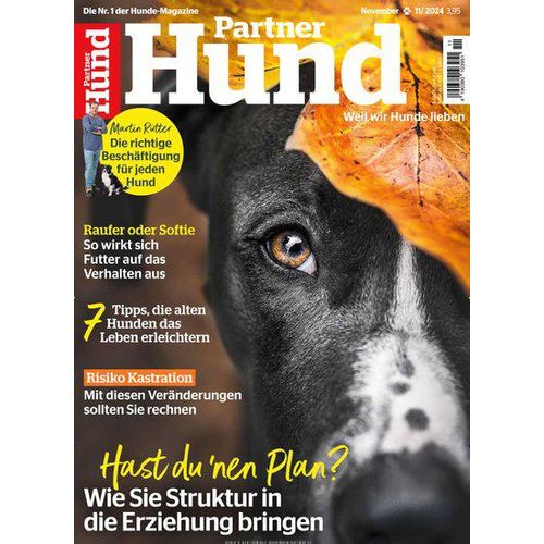 Partner Hund