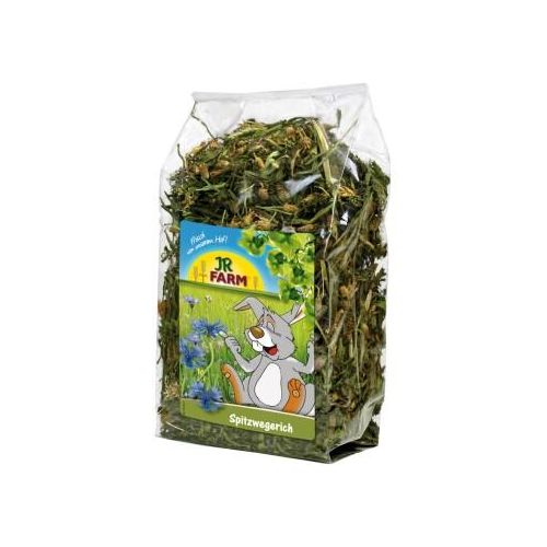 JR Farm Spitzwegerich 500 g