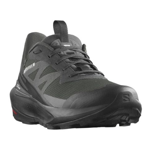 Schuhe Salomon Elixir Activ Gtx Gore-tex 474561