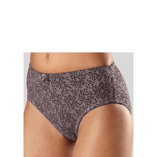 Slip NUANCE, Damen, Gr. 48/50, schwarz (taupe, schwarz), Obermaterial: 95% Baumwolle, 5% Elasthan, Unterhosen, hoch geschnittener Slip aus Baumwolle, Topseller