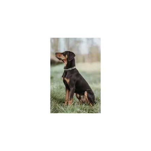 Hundehalsband Hunter Grün 45-65 cm