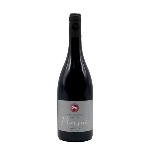 Pinot Noir Gump Hof Praesulis 2021 75 cl