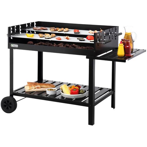 Holzkohlegrill TEPRO 