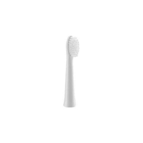 Panasonic Bürstenköpfe WEW0972W503 - replacement brushhead
