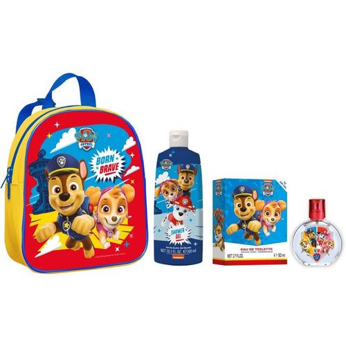 Nickelodeon Paw Patrol Born Brave set voor Kinderen