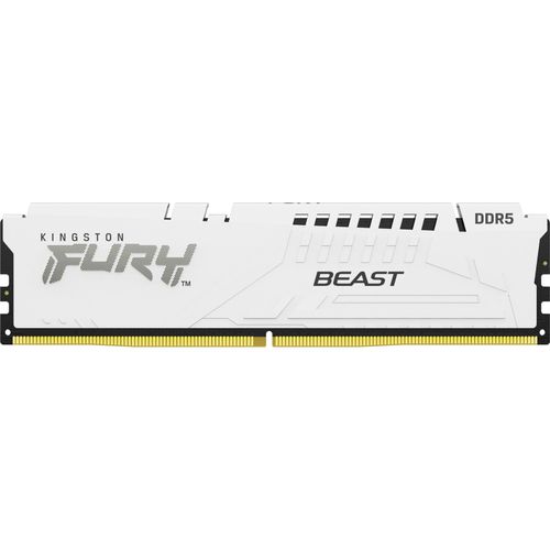 Kingston Arbeitsspeicher DIMM 32 GB DDR5-5600