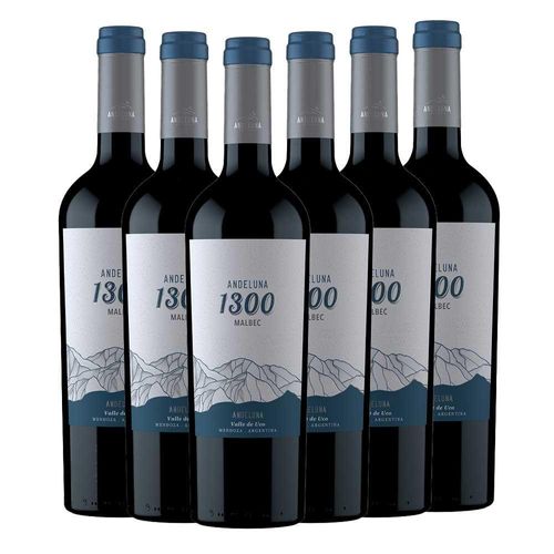 Malbec Andeluna 1300 - 6er Karton