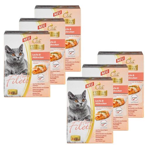 Feine Filets, Lachs & Hühnchen, 3 x 85 gr. - 6er Set