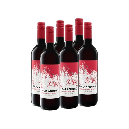 6 x 0,75-l-Flasche Weinpaket Pico Andino Cabernet Sauvignon Chile, Rotwein