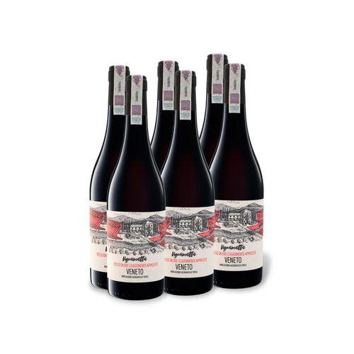 6 x 0,75-l-Flasche Weinpaket Vignamatta Veneto IGT halbtrocken, Rotwein