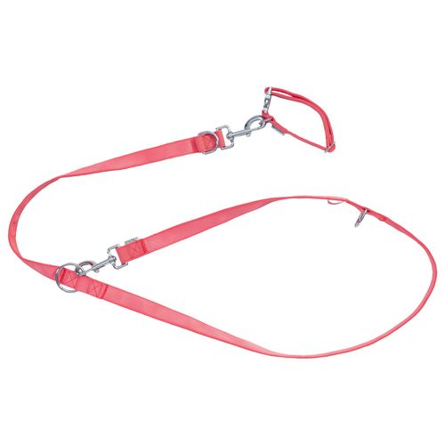 zoofari® Hundehalsband und Hundeleine (S, rot) S