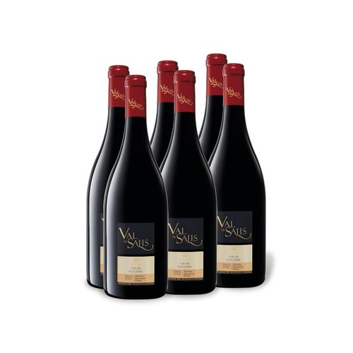 6 x 0,75-l-Flasche Weinpaket Val de Salis Syrah Viognier Reserve Pays d'Oc IGP trocken, Rotwein