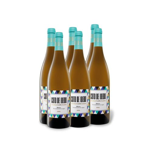 6 x 0,75-l-Flasche Weinpaket Coto de Ibedo Ribeiro DO trocken, Weißwein