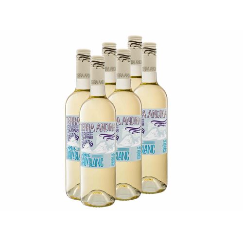 6 x 0,75-l-Flasche Weinpaket Terra Andina Sauvignon Blanc Chile Valle Central trocken, Weißwein