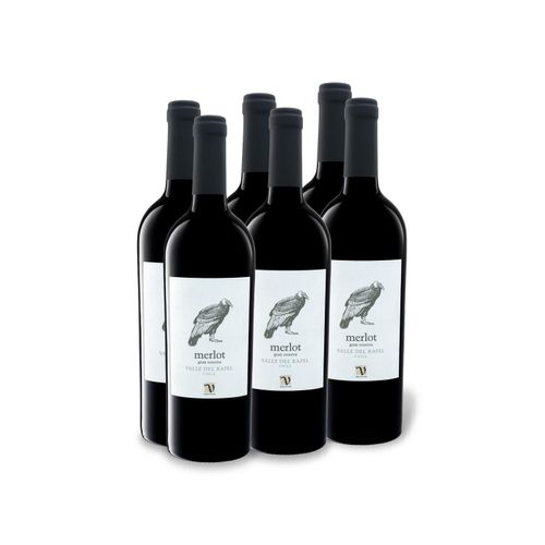 6 x 0,75-l-Flasche Weinpaket VIAJERO Merlot Gran Reserva Valle del Rapel trocken, Rotwein