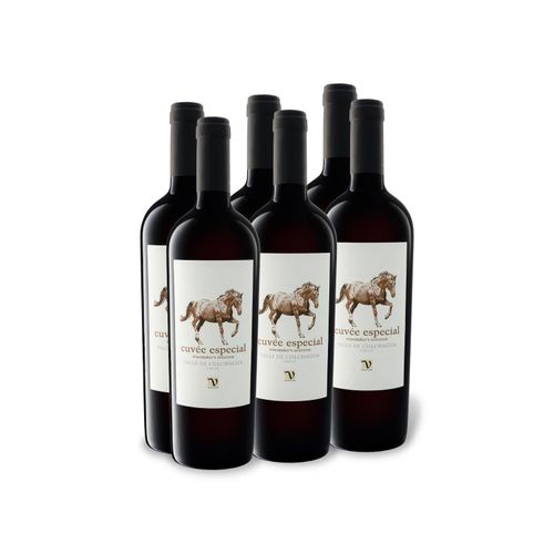 6 x 0,75-l-Flasche Weinpaket VIAJERO Cuvée Especial Valle de Colchagua Chile trocken, Rotwein