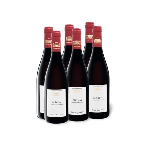 6 x 0,75-l-Flasche Weinpaket Collin Bourisset Mâcon AOP trocken, Rotwein