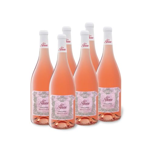 6 x 0,75-l-Flasche Weinpaket Gran Selone Vino Rosato D'Italia halbtrocken, Roséwein