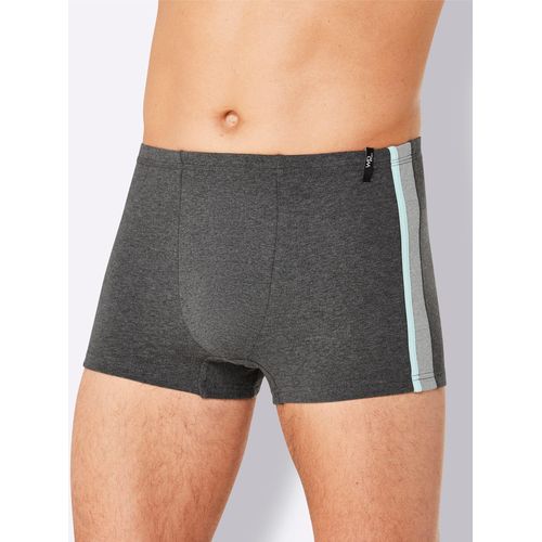 Panty WÄSCHEPUR, Herren, Gr. 5, bunt (weiß, grau, anthrazit), 95% Baumwolle, 5% Elasthan, Unterhosen