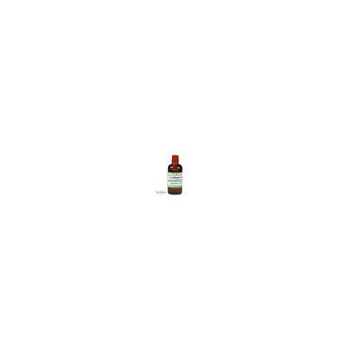ÄTHERISCHE Essenz I 100 ml