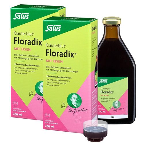 FLORADIX MIT EISEN - DOPPELPACK 2X700 ml