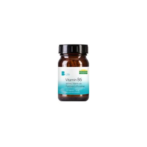 VITAMIN B6 KAPSELN 120 St