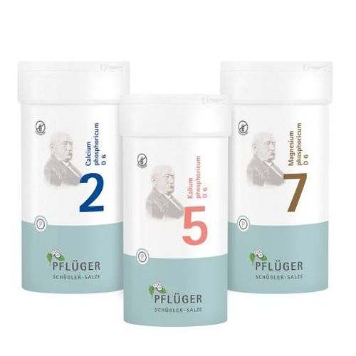 ENERGIE PLUS-KOMBINATION VON PFLÜGER 3X400 St