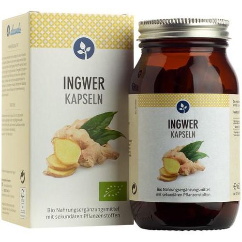 INGWER 400 mg Bio Kapseln vegan 120 St