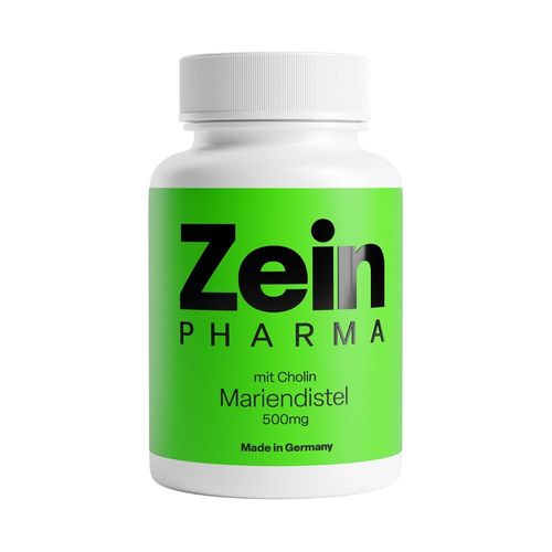 MARIENDISTEL+CHOLIN Kapseln 80% Silymarin 100 St