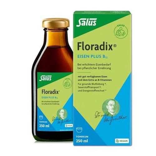 FLORADIX Eisen plus B12 vegan Tonikum 250 ml