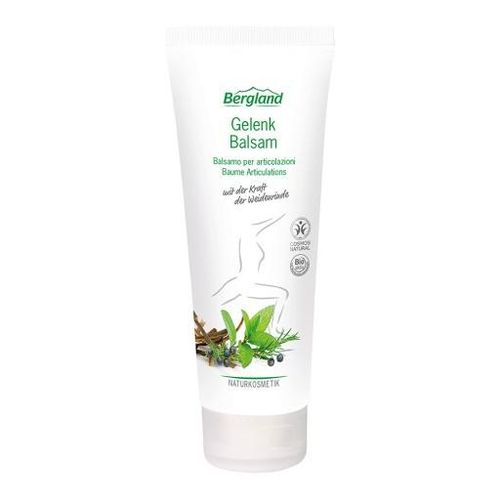 GELENK BALSAM 100 ml