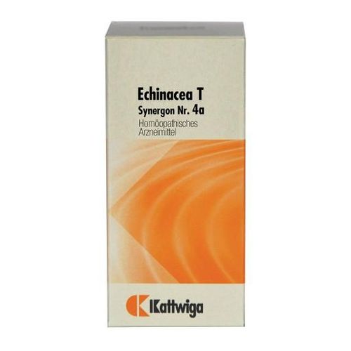 SYNERGON KOMPLEX 4a Echinacea T Tabletten 100 St