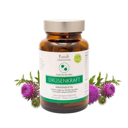 MARIENDISTEL KAPSELN 60 St