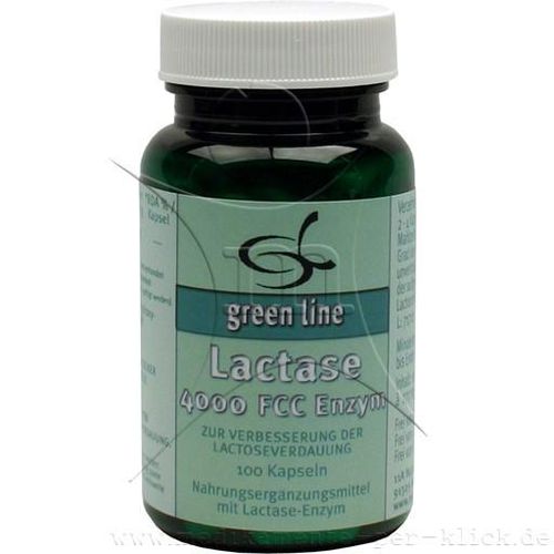 LACTASE 4.000 FCC Enzym Kapseln 100 St