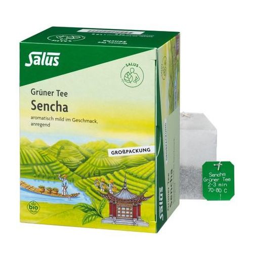 GRÜNER TEE Bio Salus Filterbeutel Großpackung 40 St