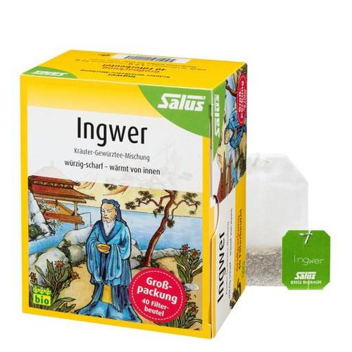 INGWER KRÄUTER-GEWÜRZTEE-Mischung Bio Salus Fbtl. 40 St