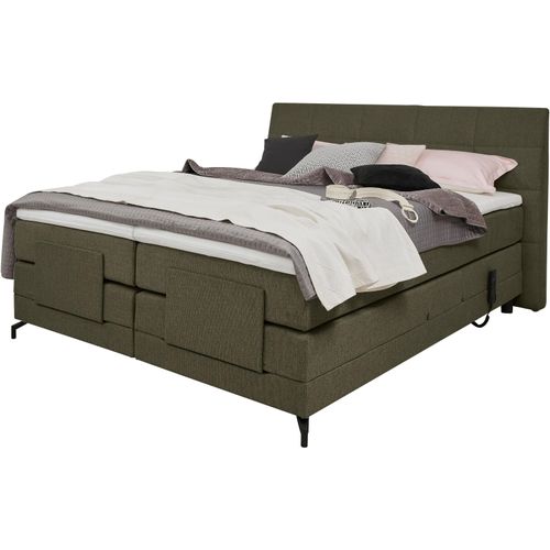 Boxspringbett ALINA 