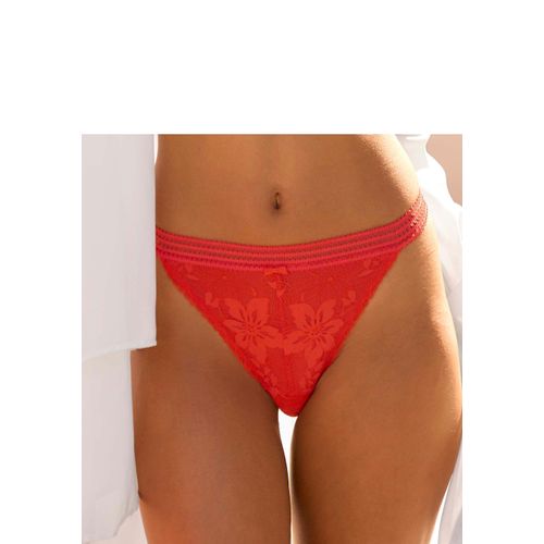 Tanga LASCANA Gr. 40/42, rot (bell pepper), Damen, Spitze, Obermaterial: 87% Polyamid, 13% Elasthan, Unterhosen, aus floraler Jacquardspitze