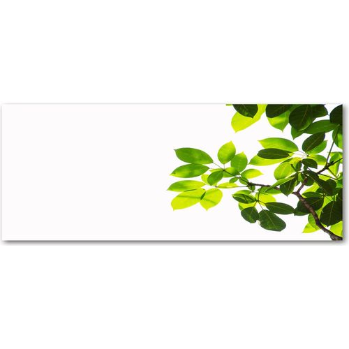 Tulup® Küchenrückwand Spritzschutz aus Glas -125x50 -Spritzschutz auf gehärtetes Glas Deko Blumen & Pflanzen Laub