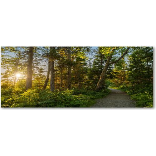 Tulup® Küchenrückwand Spritzschutz aus Glas -125x50 -Spritzschutz auf gehärtetes Glas Deko Blumen & Pflanzen Wald