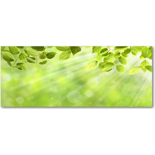 Tulup® Küchenrückwand Spritzschutz aus Glas -125x50 -Spritzschutz auf gehärtetes Glas Deko Blumen & Pflanzen Laub