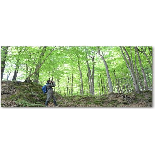 Tulup® Küchenrückwand Spritzschutz aus Glas -125x50 -Spritzschutz auf gehärtetes Glas Deko Menschen Ornithologe im Wald