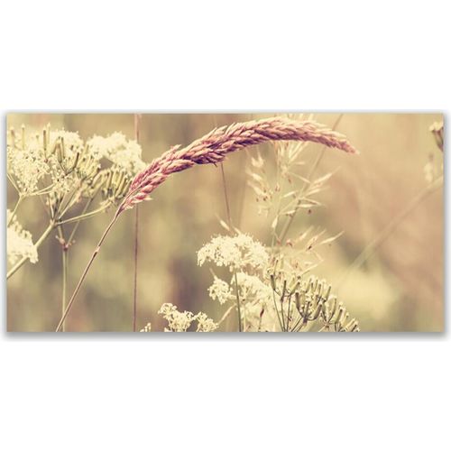 Küchenrückwand aus Glas 140x70cm Spritzschutz Wildpflanzen Pflanzen